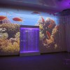 Проекционный дизайн "Виртуальная реальность" базовый комплект 500 анимаций - «globural.ru» - Тюмень