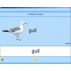 Английский язык. Освоение клавиатуры - «globural.ru» - Тюмень