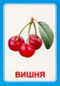 Логопедические карточки и картинки для развития речи - «globural.ru» - Тюмень