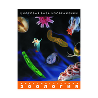 Зоология. Микрофотографии. (Цифровая база изображений) - «globural.ru» - Тюмень