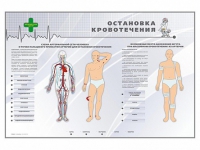 Электрифицированный стенд "Остановка кровотечения" - «globural.ru» - Тюмень