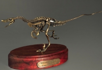 Модель скелета динозавра Velociraptor - «globural.ru» - Тюмень