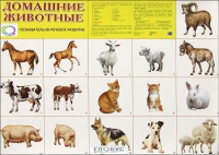 Демонстрационные карточки "Домашние животные" - «globural.ru» - Тюмень