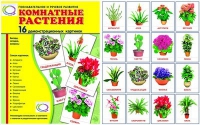 Демонстрационные карточки "Комнатные растения" - «globural.ru» - Тюмень