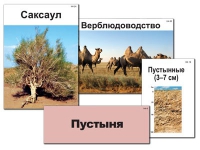 Модель-аппликация "Природные зоны России" - «globural.ru» - Тюмень
