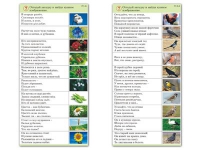 Комплект карточек (10) "Обучающий калейдоскоп. Природа" - «globural.ru» - Тюмень
