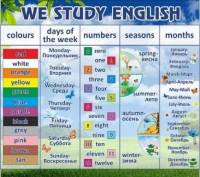 Стенд "We study english" - «globural.ru» - Тюмень