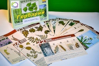Гербарий к курсу основ общей биологии - «globural.ru» - Тюмень