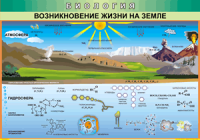 Таблица Возникновение жизни на Земле 1000*1400 винил - «globural.ru» - Тюмень