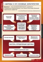 ОБЖ Здоровый образ жизни (комплект таблиц) - «globural.ru» - Тюмень