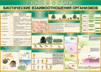 Таблица Биотические взаимоотношения организмов 1000*700 (винил) - «globural.ru» - Тюмень