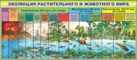 Стенд "Эволюция растительного и животного мира" - «globural.ru» - Тюмень