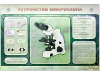 Электрифицированный стенд "Устройство микроскопа и правила работы c ним" - «globural.ru» - Тюмень