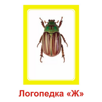Логопедка "Ж" (логопедические карточки) - «globural.ru» - Тюмень