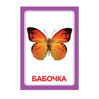 Логопедка "Ч" (логопедические карточки) - «globural.ru» - Тюмень