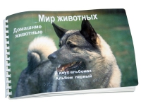 Пособие для слабовидящих "Домашние животные" - «globural.ru» - Тюмень