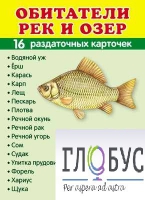 Раздаточные карточки "Обитатели рек и озер" - «globural.ru» - Тюмень