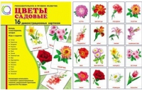 Демонстрационные карточки "Цветы садовые" - «globural.ru» - Тюмень