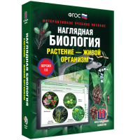 Наглядная биология. Растение - живой организм - «globural.ru» - Тюмень