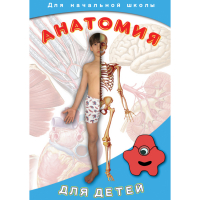 DVD  Анатомия для детей - «globural.ru» - Тюмень