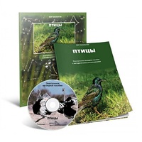 Электронное наглядное пособие «Птицы» - «globural.ru» - Тюмень