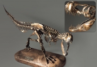 Модель скелета динозавра Tyrannosaurus - «globural.ru» - Тюмень