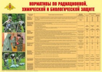 Плакат "Нормативы по радиационной, химической и биологической защите" - «globural.ru» - Тюмень
