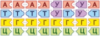 Модель-аппликация Удвоение ДНК и транскрипция РНК - «globural.ru» - Тюмень