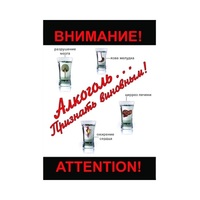 DVD Алкоголь. Признать виновным - «globural.ru» - Тюмень