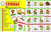 Демонстрационные карточки  "Грибы съедобные и не съедобные" - «globural.ru» - Тюмень