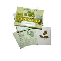 Гербарий "Дикорастущие растения" (30 видов, с иллюстрациями) - «globural.ru» - Тюмень