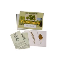 Гербарий "Лекарственные растения" (22 вида, с иллюстрациями) - «globural.ru» - Тюмень