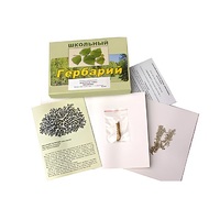 Гербарий "Водоросли. Грибы. Лишайники" (раздаточный) - «globural.ru» - Тюмень