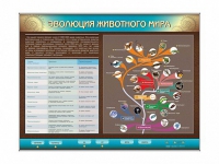 Интерактивный электрифицированный стенд "Эволюция животного мира" - «globural.ru» - Тюмень