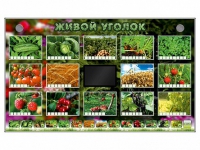 Комплект оборудования "Живой уголок" (растения) - «globural.ru» - Тюмень