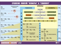 Таблица демонстрационная "Сравнение понятий изомер и гомолог" (винил 100х140) - «globural.ru» - Тюмень