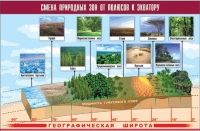 Таблица демонстрационная "Смена природных зон от полюсов к экватору" (винил 70x100) - «globural.ru» - Тюмень