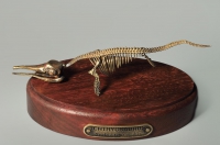 Модель скелета ихтиозавра Ichthyosaurus - «globural.ru» - Тюмень