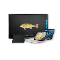 Интерактивное наглядное 3D пособие «Аквакультура» - «globural.ru» - Тюмень