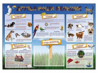 Стенд-уголок "Друзья наши меньшие" - «globural.ru» - Тюмень