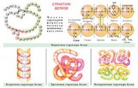 Плакаты и таблицы по общей химии - «globural.ru» - Тюмень
