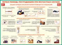  Таблица Общий порядок оказания первой помощи пострадавшим 1000*1400 винил	 - «globural.ru» - Тюмень