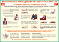 Таблица Порядок действий при переломах конечностей 1000*1400 винил - «globural.ru» - Тюмень