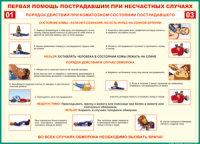 Таблица Порядок действий при коматозном состоянии пострадавшего 1000*1400 винил - «globural.ru» - Тюмень