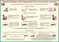 Таблица Порядок действий при ранениях и термических ожогах	 1000*1400 винил - «globural.ru» - Тюмень