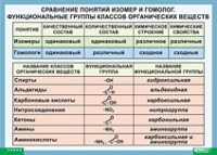 Химия. Сравнение понятий изомер и гомолог. Функциональные группы классов органических веществ (винил) - «globural.ru» - Тюмень