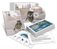 Комбинированное наглядное пособие «Животные» - «globural.ru» - Тюмень