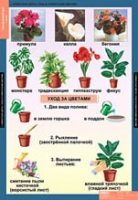 Окружающий мир 1 класс (комплект таблиц) - «globural.ru» - Тюмень