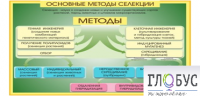 Стенд "Методы селекции и биотехнологии" - «globural.ru» - Тюмень