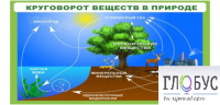 Стенд "Круговорот веществ" - «globural.ru» - Тюмень